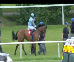 Video preview image for Gowran Park 16:35 - Follow Us On Facebook Handicap