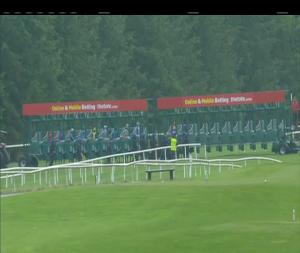 Video preview image for Gowran Park 17:10 - Gowran Park Fillies Maiden