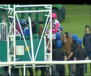 Video preview image for Leopardstown 19:00 - Leopardstown Median Auction Maiden