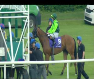 Video preview image for Leopardstown 19:30 - Hamsandwich Apprentice Handicap (45-75)