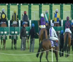 Video preview image for Leopardstown 20:50 - Leopardstown Summer Pass (Q.R.) Maiden