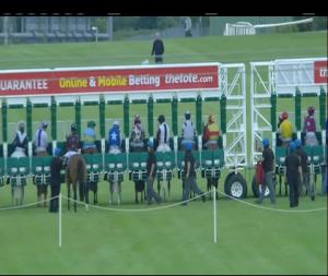 Video preview image for Leopardstown 21:00 - Leopardstown Members Handicap (45-70)