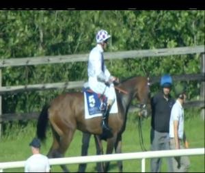 Video preview image for Limerick 18:00 - Irish Stallion Farms EBF Median Auction Maiden (Plus 10)