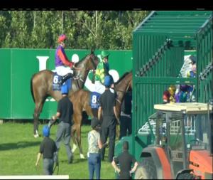 Video preview image for Limerick 19:00 - Croom Maiden