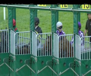 Video preview image for Limerick 19:45 - Irish Stallion Farms EBF Fillies Maiden