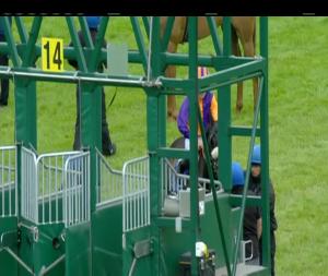 Video preview image for Limerick 20:15 - Grant Thornton Apprentice Handicap (45-65)