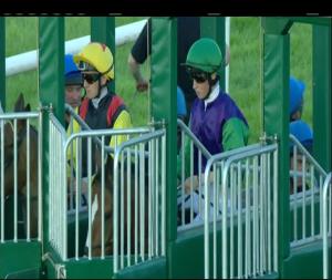 Video preview image for Limerick 21:00 - www.limerickraces.ie Rated Race