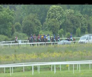 Video preview image for Listowel 13:50 - Kingdom Mares Maiden Hurdle