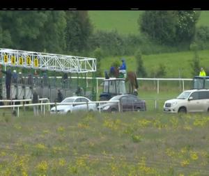 Video preview image for Listowel 15:40 - Croom House Stud Irish EBF Fillies Maiden