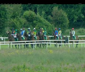 Video preview image for Listowel 15:55 - Old Weir Handicap Hurdle