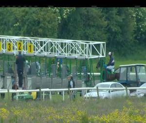 Video preview image for Listowel 16:10 - www.listowelraces.ie (C & G) Maiden