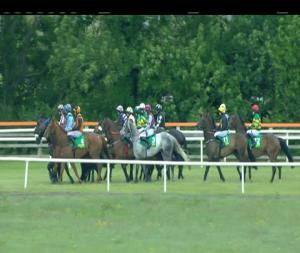 Video preview image for Listowel 16:25 - John J. Galvin Handicap Chase