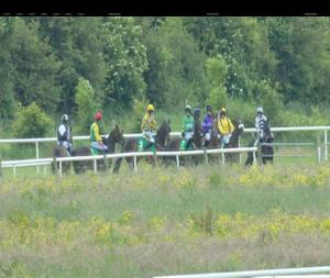 Video preview image for Listowel 17:00 - Join The Listowel Races Supporters Club Hunters Chase
