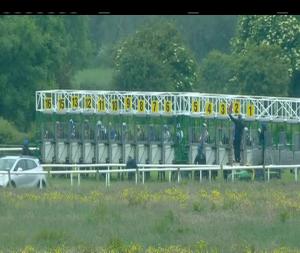 Video preview image for Listowel 17:10 - St. John's Literary Centre Handicap (45-65) (Div 2)