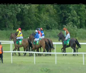 Video preview image for Listowel 17:30 - Dr. Louis O'Carroll Flat Race