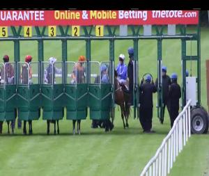 Video preview image for Navan 13:20 - Lynn Lodge Stud Irish EBF Maiden (Plus 10)