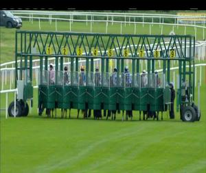 Video preview image for Roscommon 18:50 - Roscommon Claiming Maiden