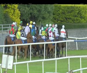 Video preview image for Roscommon 19:10 - Roscommon Racecourse Handicap Hurdle (80-95)