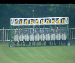 Video preview image for Tipperary 17:05 - Tipperary Racecourse Maiden