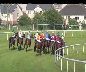 Video preview image for Tramore 18:00 - Waterford & Tramore Racecourse Supporters Club Mares Beginners Chase