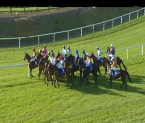 Video preview image for Tramore 19:15 - Al Eile Stud Mares Maiden Hurdle