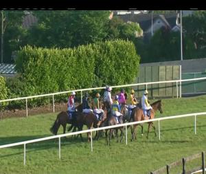 Video preview image for Tramore 20:00 - www.tramore-racecourse.com Maiden Hurdle