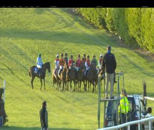 Video preview image for Tramore 21:00 - Irish Stallion Farms EBF (Mares) Flat Race