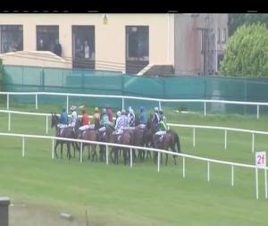Video preview image for Wexford 17:45 - Boolavogue Mares Maiden Hurdle