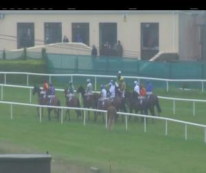 Video preview image for Wexford 18:15 - Oulart Handicap Hurdle (80-95) (Div 1)