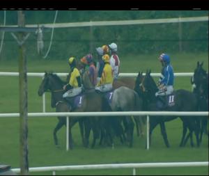 Video preview image for Wexford 18:30 - Oulart Maiden Hurdle