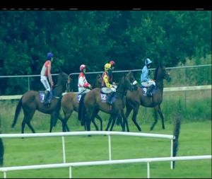 Video preview image for Wexford 20:00 - Pro-Form Beginners Chase