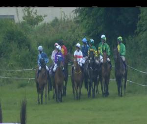 Video preview image for Wexford 20:15 - Rosslare Handicap Chase (0-109)