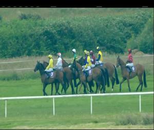 Video preview image for Wexford 20:30 - Flood Ironworks Handicap Chase