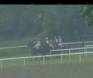 Video preview image for Wexford 20:45 - Racing Again June 21st Flat Race