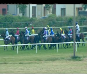 Video preview image for Wexford 21:00 - Loch Garman Flat Race