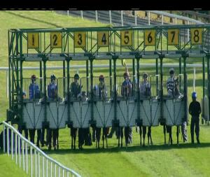 Video preview image for Ballinrobe 19:20 - Irish Stallion Farms European Breeders Fund Maiden