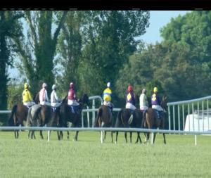 Video preview image for Clonmel 18:55 - Bbq Evening At Clonmel Races Beginners Chase