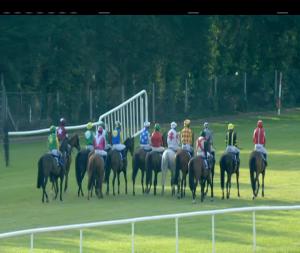 Video preview image for Clonmel 19:30 - John Kennedy Motors (Toyota) Clonmel Beginners Chase