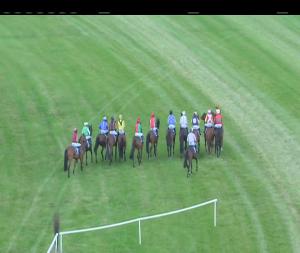 Video preview image for Clonmel 20:05 - Clonmel Show Sunday 1st July Handicap Chase