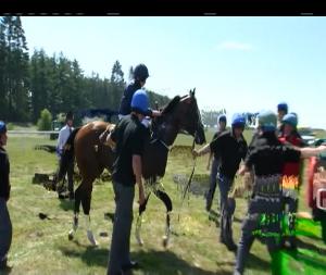 Video preview image for Curragh 15:25 - Dubai Duty Free Millennium Millionaire Celebration Stakes (Listed) 