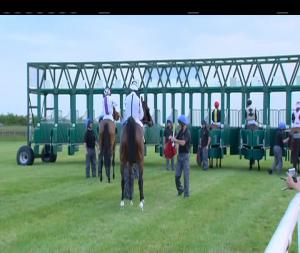 Video preview image for Curragh 20:20 - Trm's "Kurasyn 360X" Handicap