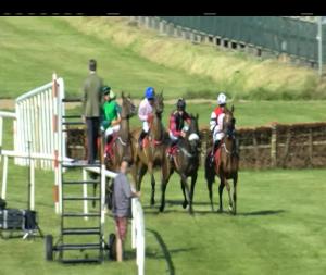 Video preview image for Down Royal 17:45 - www.thetote.com Mares Hurdle 