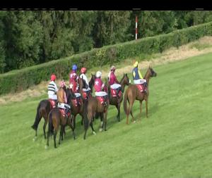 Video preview image for Down Royal 18:50 - www.thetote.com Hurdle
