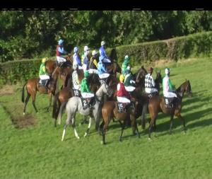 Video preview image for Down Royal 19:20 - Down Royal Summer Festival Of Racing Handicap Hurdle 