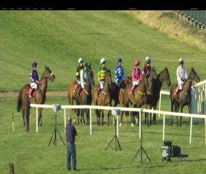 Video preview image for Down Royal 19:55 - thetote.com Handicap Hurdle 