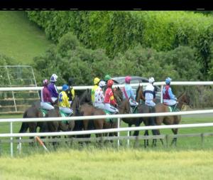 Video preview image for Downpatrick 14:30 - Irish Stallion Farms European Breeders Fund Mares Maiden Hurdle