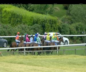 Video preview image for Downpatrick 15:00 - Irish Stallion Farms European Breeders Fund Mares Handicap Hurdle
