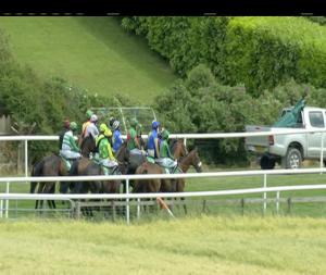 Video preview image for Downpatrick 15:05 - Patrick Rice Horsebox Sales & Repairs Handicap Hurdle
