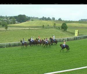 Video preview image for Downpatrick 15:30 - hannontravel.ie Maiden Hurdle