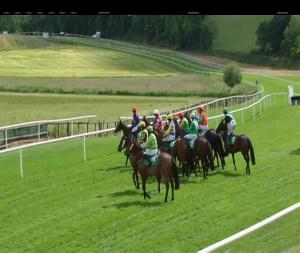 Video preview image for Downpatrick 15:40 - Molson Coors Handicap Hurdle